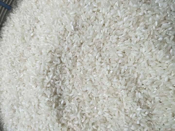 Gạo tẻ bao thai - Gạo Lạng Sơn