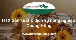 HTXSX và dịch vụ nông nghiệp Quảng Hồng